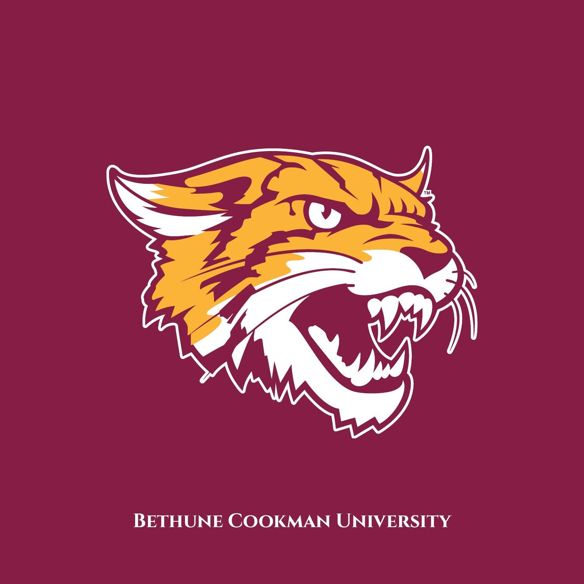 The Yard Bethune Cookman University DungeonForward