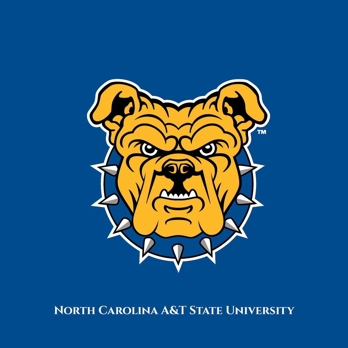 The Yard North Carolina A&T State University DungeonForward