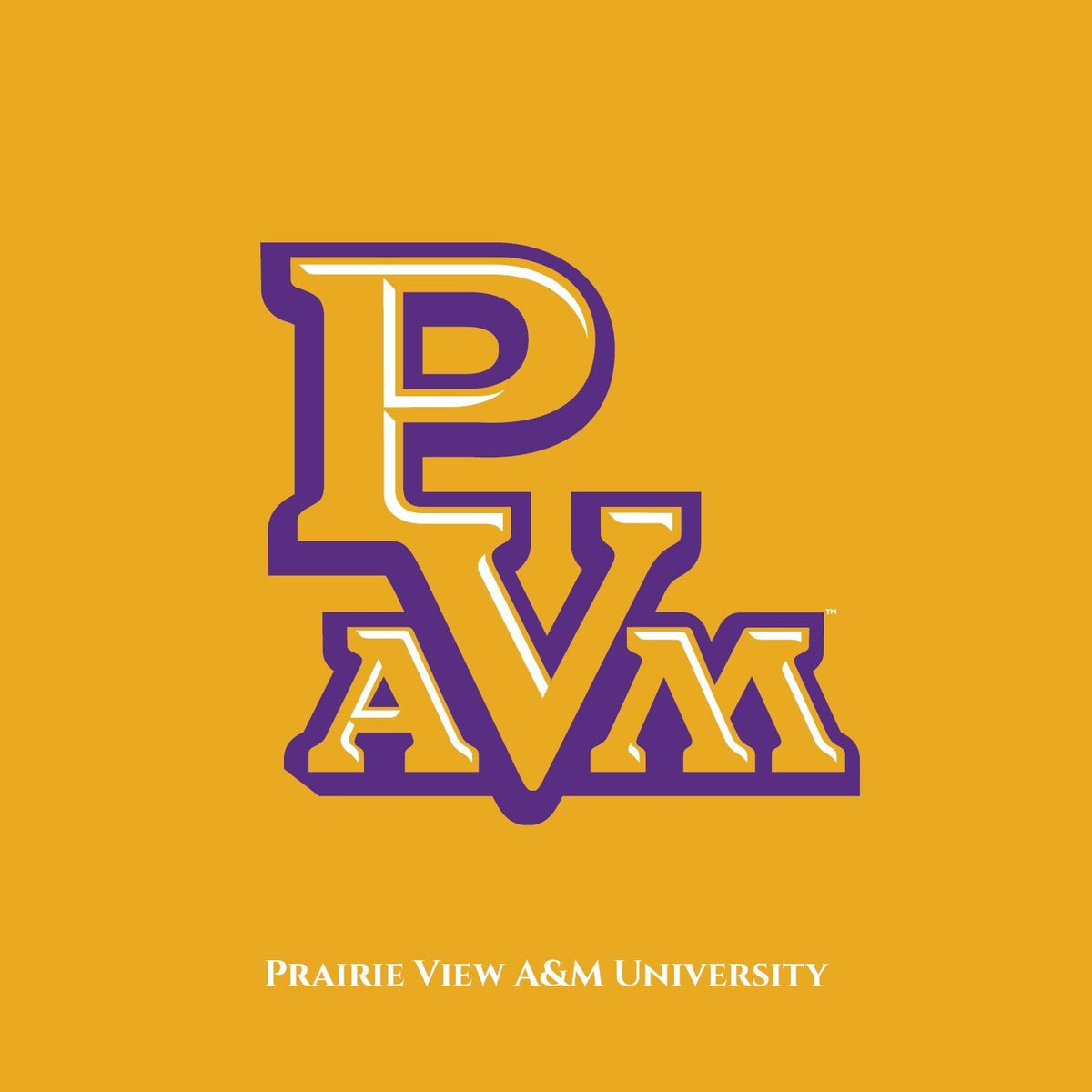 The Yard Prairie View A&M University DungeonForward