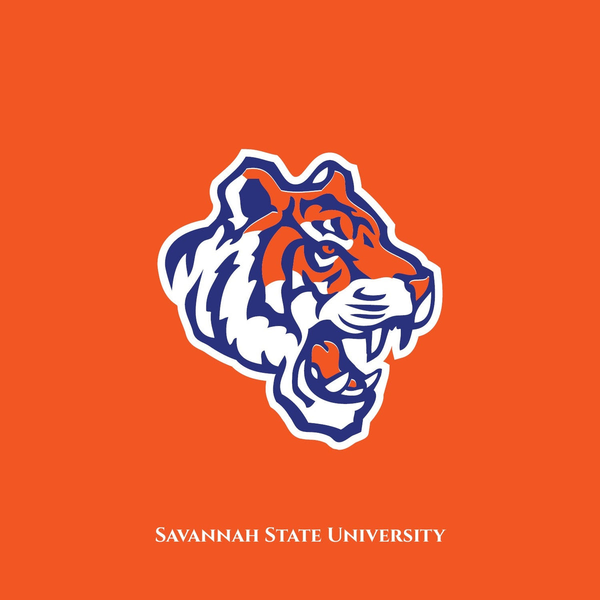 The Yard Savannah State University DungeonForward