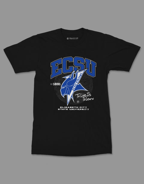 The Yard Essentials - Elizabeth City State University - ECSU T-shirt - DungeonForward