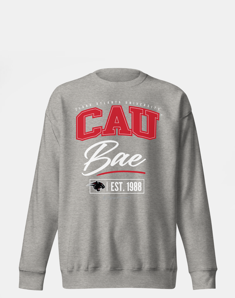 DungeonForward - The Family - Clark Atlanta University (CAU) - Sweatshirt
