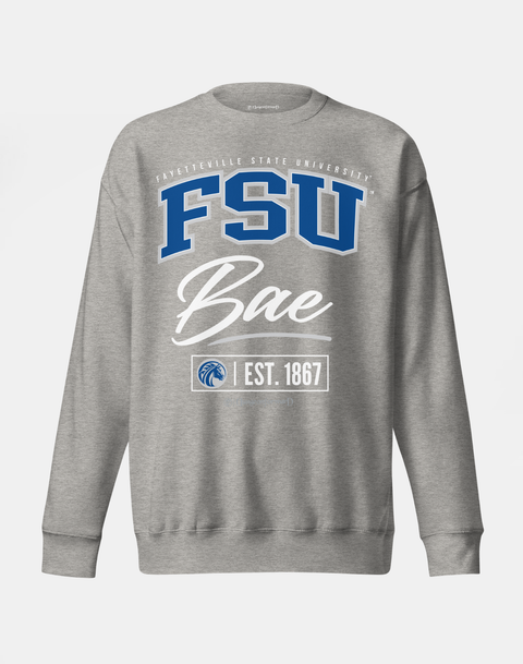 DungeonForward - The Family - Fayetteville State University (FSU) - Sweatshirt