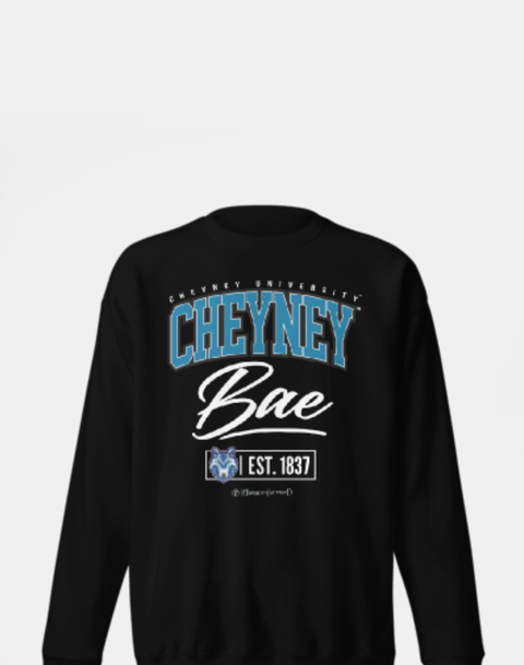 DungeonForward - The Family - Cheyney University of Pennsylvania (CUP) - Sweatshirt