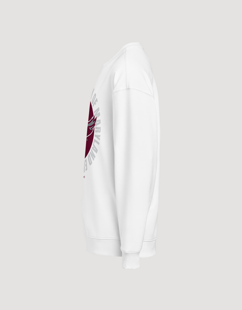 Dungeon Forward - The Yard Elevated - University of Maryland Eastern Shore - Hawk Country - Full Circle Extra Comfy Sweatshirt