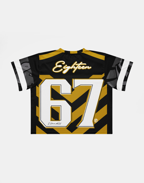Alabama State University - Phenom HBCU Box Jersey - DungeonForward
