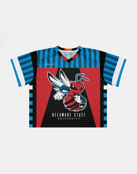 Delaware State University - Phenom HBCU Box Jersey - DungeonForward
