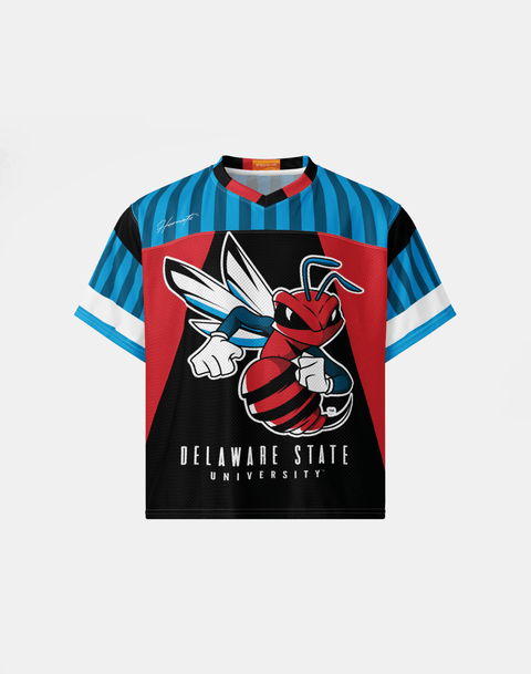Delaware State University - Phenom HBCU Box Jersey - DungeonForward