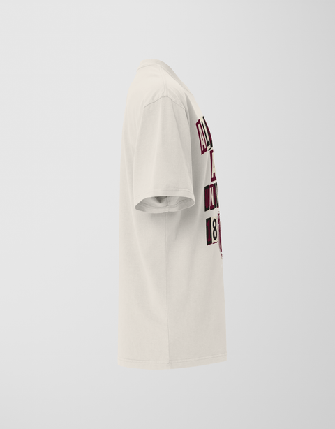 Dungeon Forward - Alabama A&M University - The Collage - Oversized Teefaded t-shirt - DungeonForward