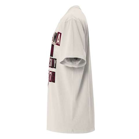 Dungeon Forward - Alabama A&M University - The Collage - Oversized Teefaded t-shirt - DungeonForward
