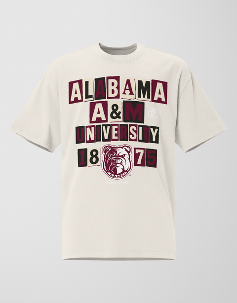 Dungeon Forward - Alabama A&M University - The Collage - Oversized Teefaded t-shirt - DungeonForward