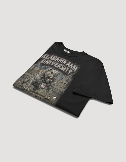 Dungeon Forward - Alabama A&M University - The Yard AAMU Bootleg Pusher Tee - DungeonForward