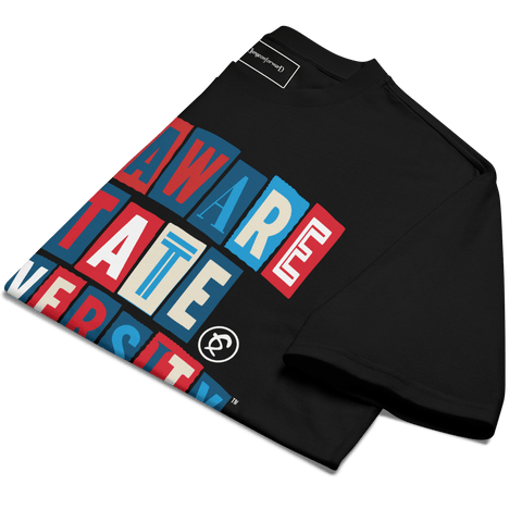 Dungeon Forward - Delaware State University - The Collage - Oversized Tshirt - DungeonForward