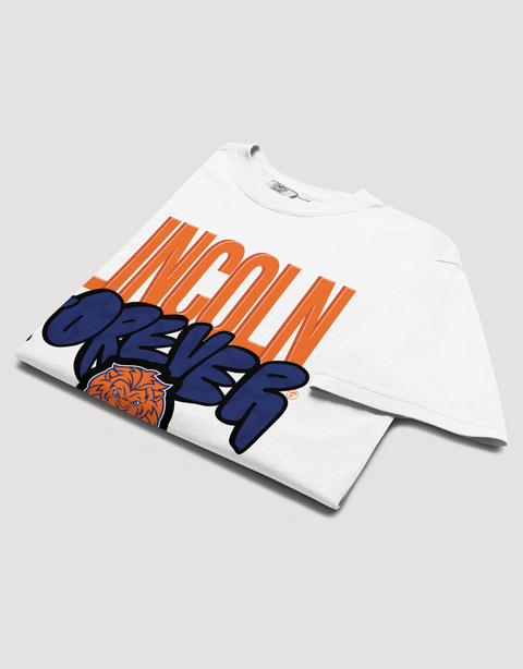 Dungeon Forward – Lincoln University (PA) – The Yard Forever Tee - DungeonForward