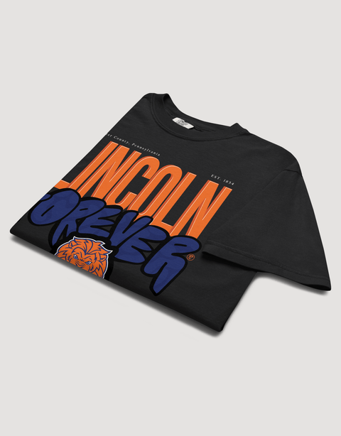 Dungeon Forward – Lincoln University (PA) – The Yard Forever Tee - DungeonForward