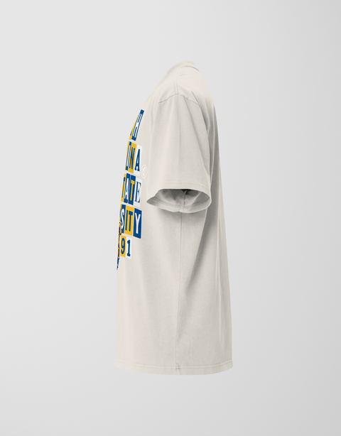 Dungeon Forward - North Carolina A&T State University - The Collage - Oversized Tee - DungeonForward
