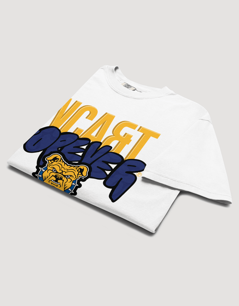Dungeon Forward – North Carolina A&T State University – The Yard Forever Tee - DungeonForward