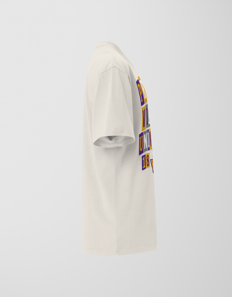 Dungeon Forward - Prairie View A&M University - The Collage - Oversized Tee - DungeonForward