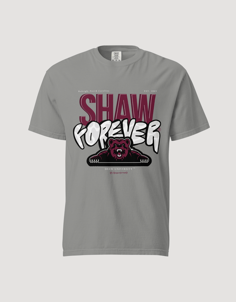 Dungeon Forward – Shaw University – The Yard Forever Tee - DungeonForward