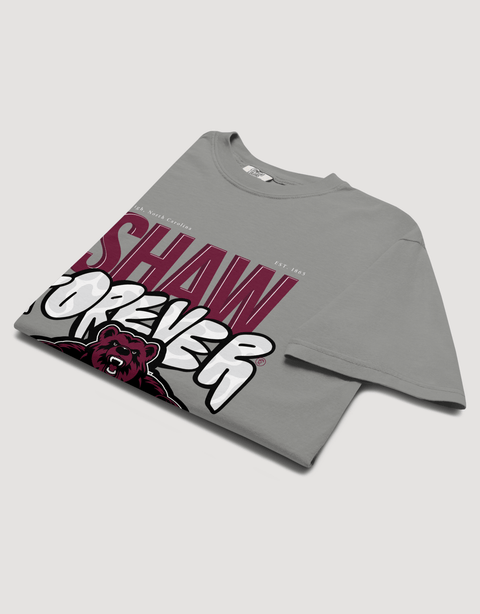 Dungeon Forward – Shaw University – The Yard Forever Tee - DungeonForward