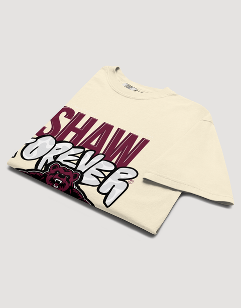 Dungeon Forward – Shaw University – The Yard Forever Tee - DungeonForward