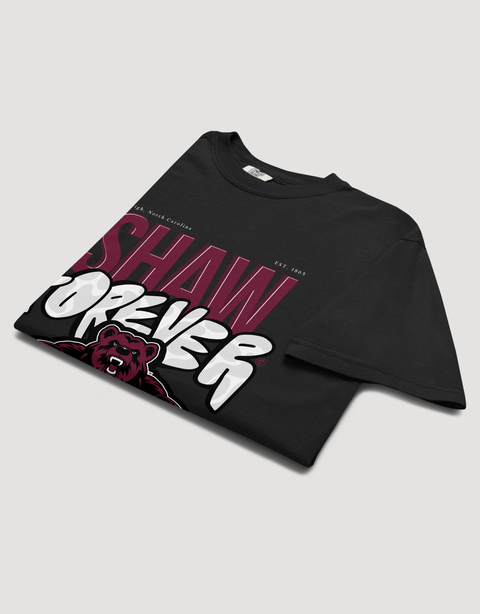 Dungeon Forward – Shaw University – The Yard Forever Tee - DungeonForward