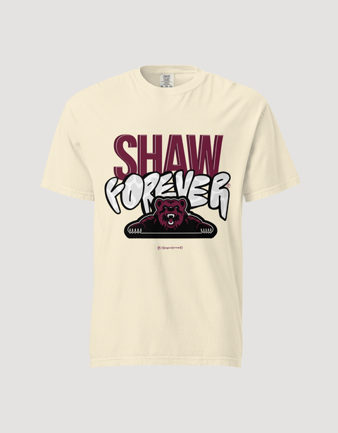 Dungeon Forward – Shaw University – The Yard Forever Tee - DungeonForward