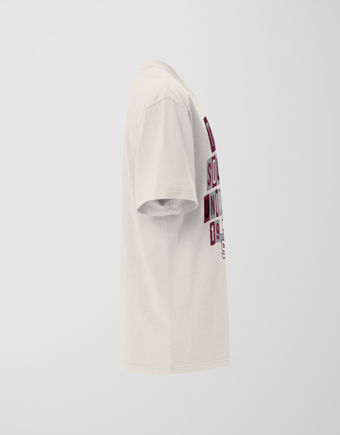 Dungeon Forward - Texas Southern University - The Collage - Oversized Tee - DungeonForward