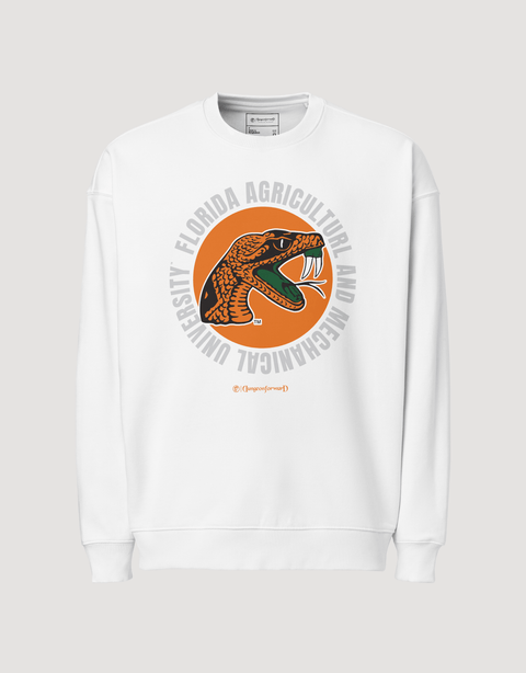 Dungeon Forward - The Yard Elevated - Florida A&M University - Full Circle Extra Cozy Oversized Sweatshirt - DungeonForward