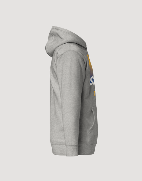 Dungeon Forward - The Yard Essentials - Albany State University - Fade Hoodie - DungeonForward