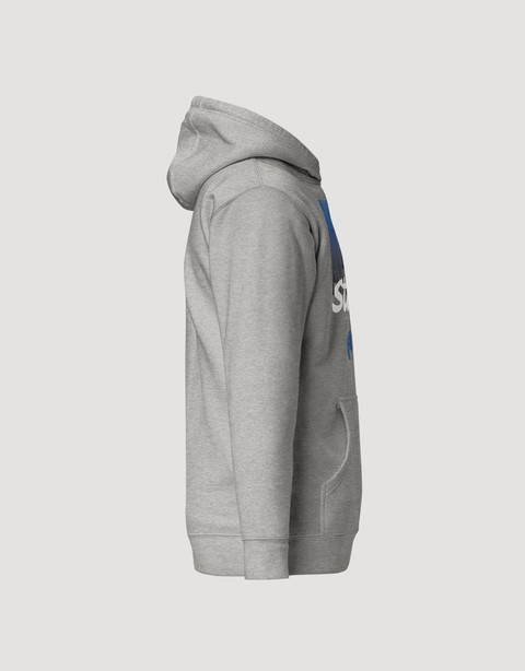 Dungeon Forward - The Yard Essentials - Fayetteville State University - Fade Hoodie - DungeonForward