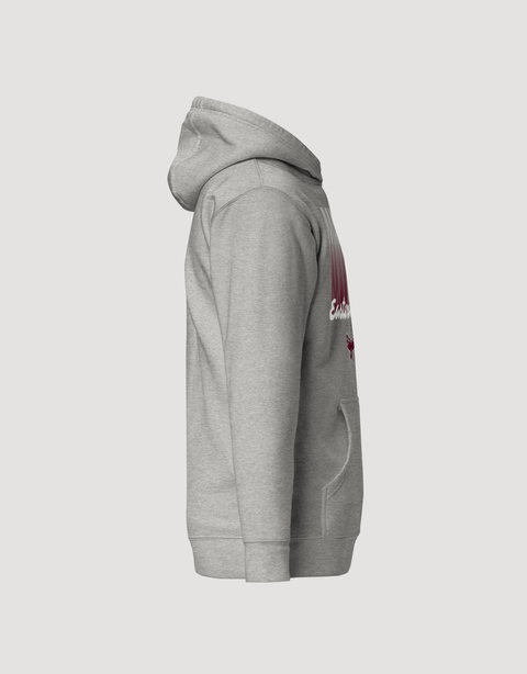 Dungeon Forward - The Yard Essentials - University of Maryland Eastern Shore - Fade Hoodie - DungeonForward