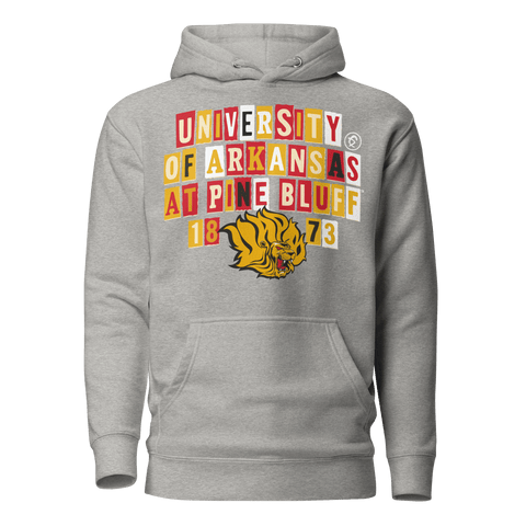 Dungeon Forward - University Of Arkansas at Pine Bluff - Collage Hoodie - DungeonForward