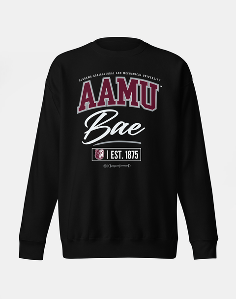 DungeonForward - The Family - Alabama A&M University - Sweatshirt - DungeonForward