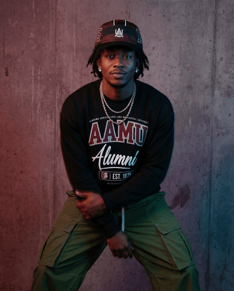 DungeonForward - The Family - Alabama A&M University - Sweatshirt - DungeonForward