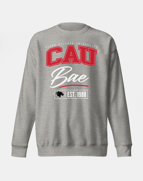 DungeonForward - The Family - Clark Atlanta University (CAU) - Sweatshirt - DungeonForward