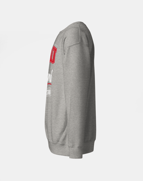 DungeonForward - The Family - Clark Atlanta University (CAU) - Sweatshirt - DungeonForward