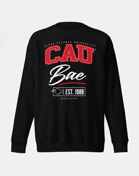 DungeonForward - The Family - Clark Atlanta University (CAU) - Sweatshirt - DungeonForward