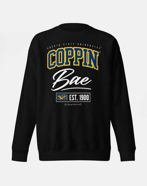 DungeonForward - The Family - Coppin State University (CSU) - Sweatshirt - DungeonForward