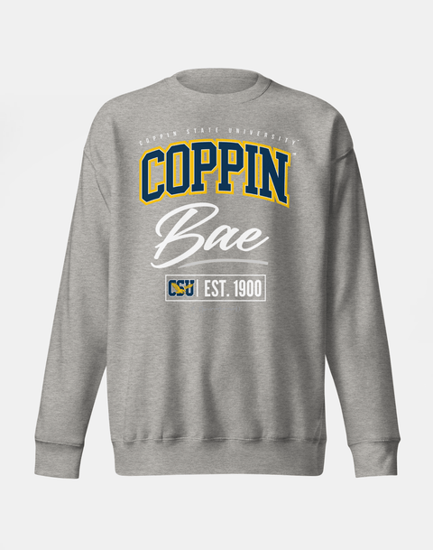 DungeonForward - The Family - Coppin State University (CSU) - Sweatshirt - DungeonForward