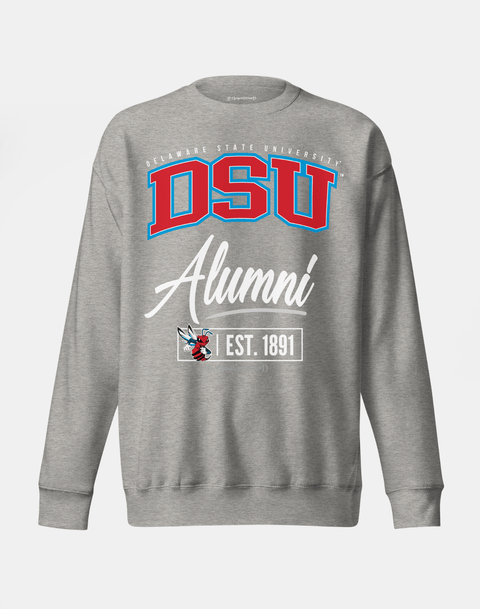 DungeonForward - The Family - Delaware State University (DSU) - Sweatshirt - DungeonForward