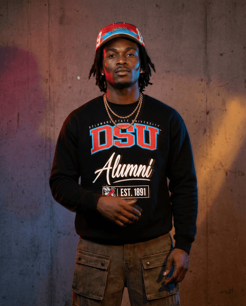 DungeonForward - The Family - Delaware State University (DSU) - Sweatshirt - DungeonForward