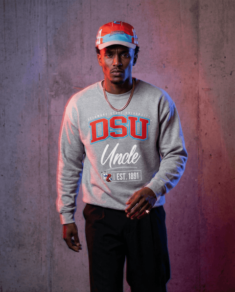 DungeonForward - The Family - Delaware State University (DSU) - Sweatshirt - DungeonForward