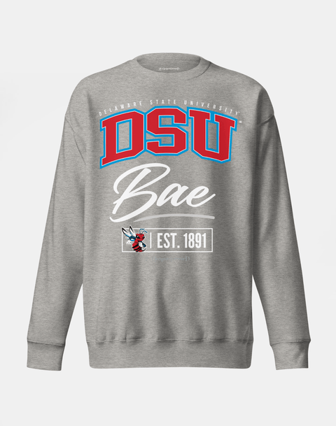 DungeonForward - The Family - Delaware State University (DSU) - Sweatshirt - DungeonForward