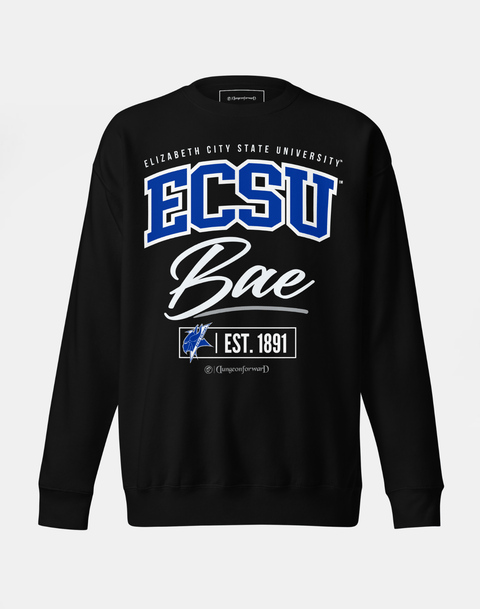 DungeonForward - The Family - Elizabeth City State University (ECSU) - Sweatshirt - DungeonForward