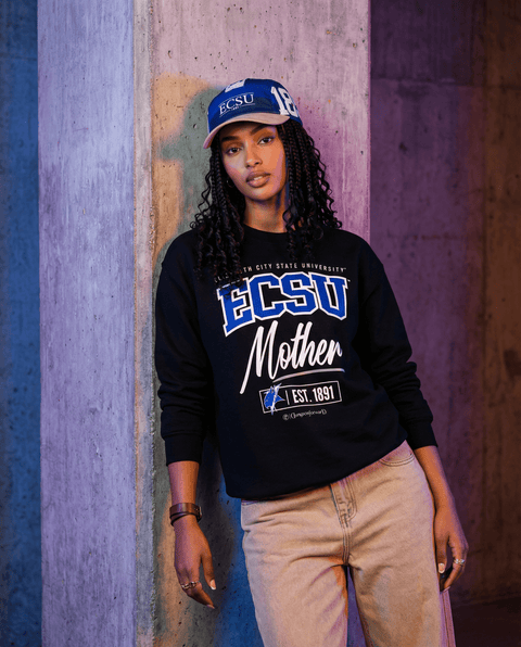 DungeonForward - The Family - Fayetteville State University (FSU) - Sweatshirt - DungeonForward