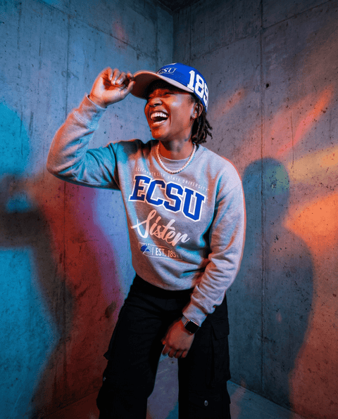 DungeonForward - The Family - Fayetteville State University (FSU) - Sweatshirt - DungeonForward