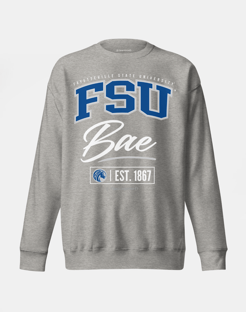 DungeonForward - The Family - Fayetteville State University (FSU) - Sweatshirt - DungeonForward