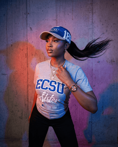 DungeonForward - The Family - Fayetteville State University (FSU) - Tshirt - DungeonForward