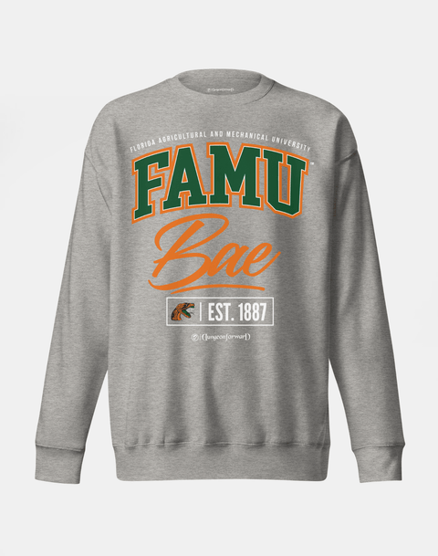 DungeonForward - The Family - Florida A&M University (FAMU) - Sweatshirt - DungeonForward